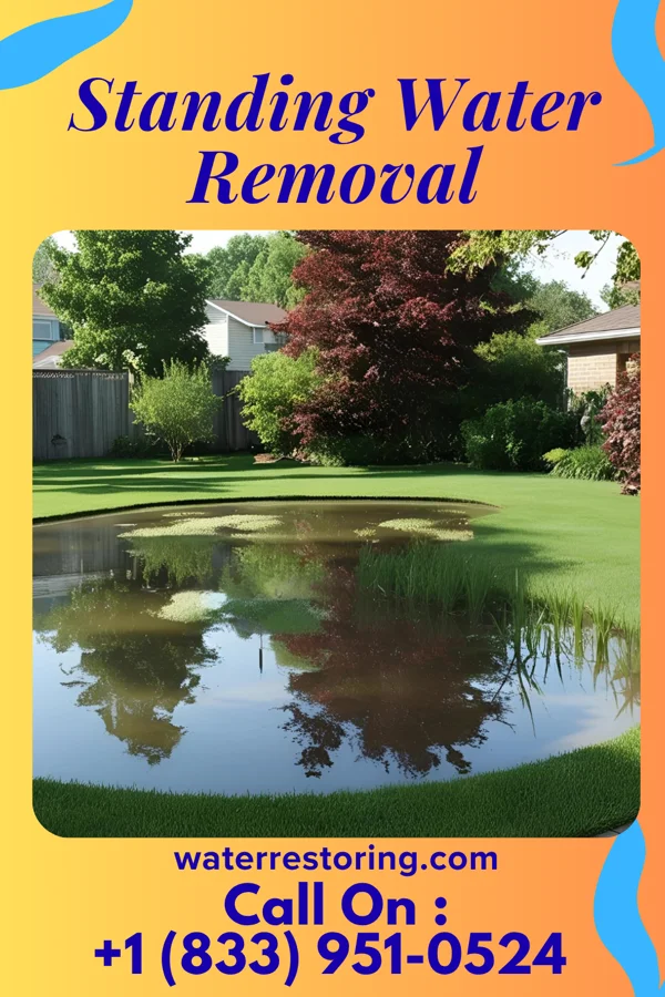 Standing Water Removal in Austell, GA